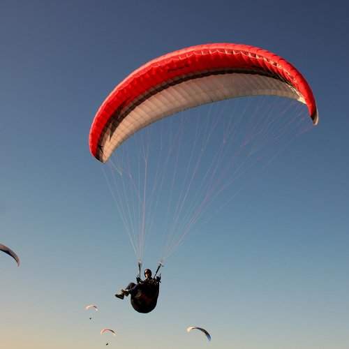 Paraplane pilots