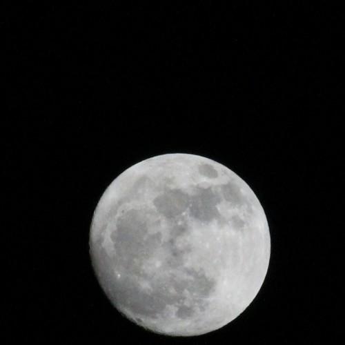 The Beauty of a Moon