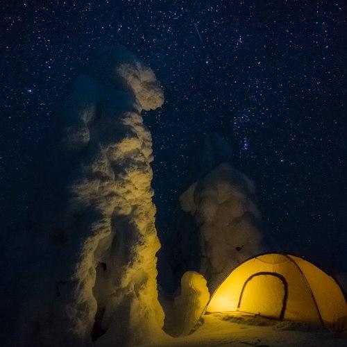 Звёздная ночь