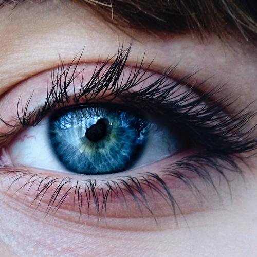 Photo #2205032