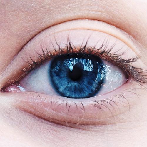 Photo #2205033