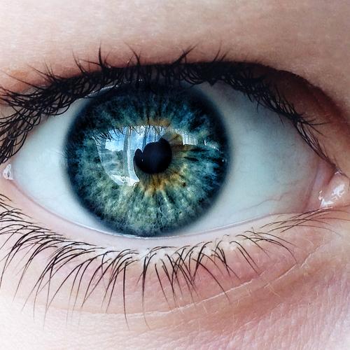 Photo #2205035