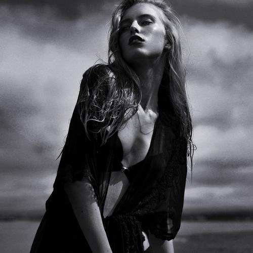 Photo #2205110