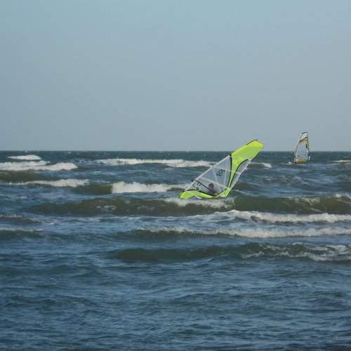 Surf