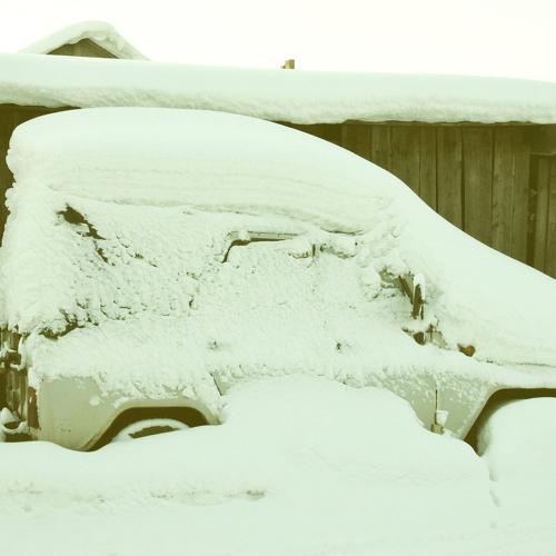 Photo #2206534