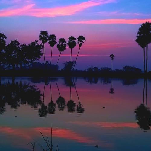 Reflection