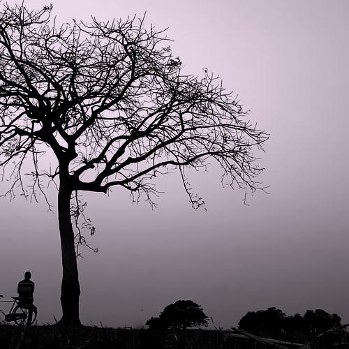 ALONE