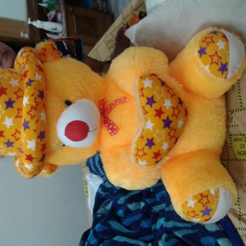 Photo #2208070