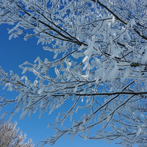 Photo #2208247