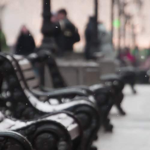 Photo #2208608
