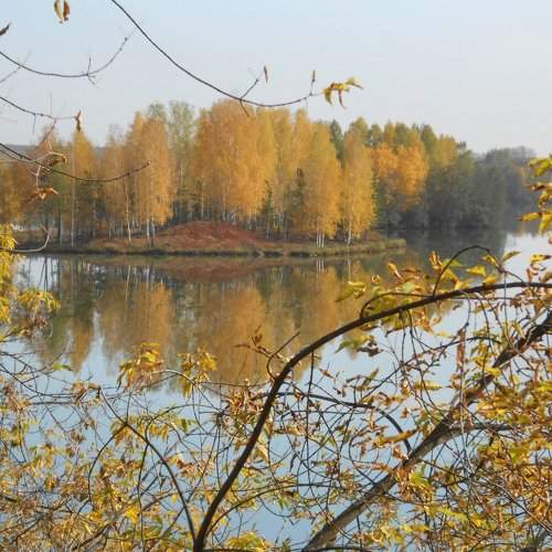 Photo #2208965