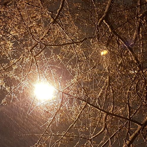 Photo #2209209