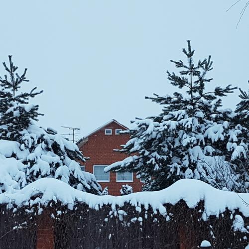 Photo #2209223