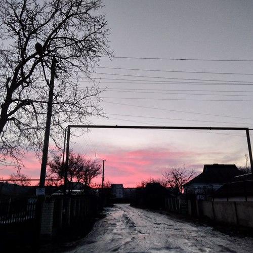 Photo #2209576