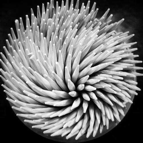 toothpick