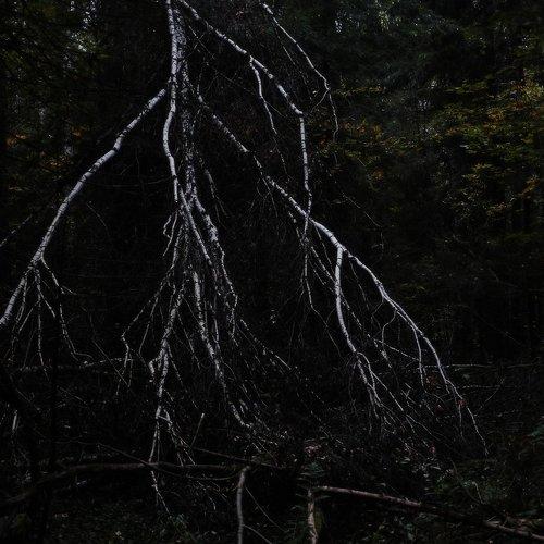 Осенняя гроза.
