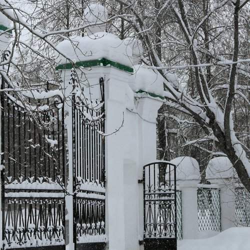 Университетская роща. Томск
