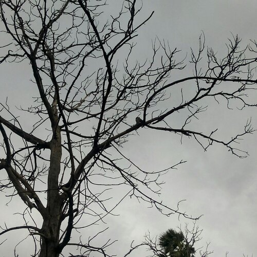 Earth looking to sky