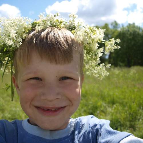 Photo #2212048