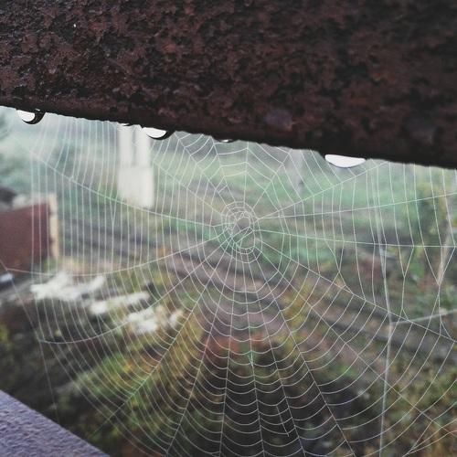 Photo #2212126