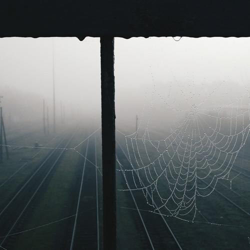 Photo #2212130
