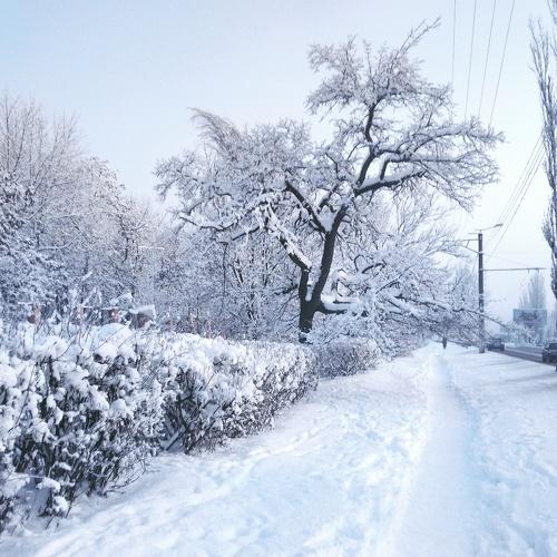 Photo #2212388