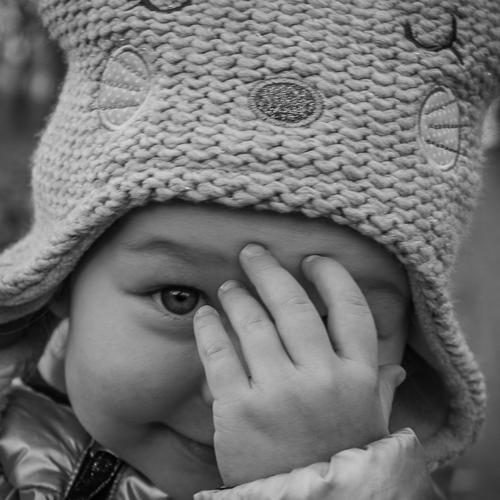 Photo #2212643