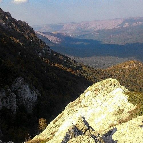 Photo #2212773