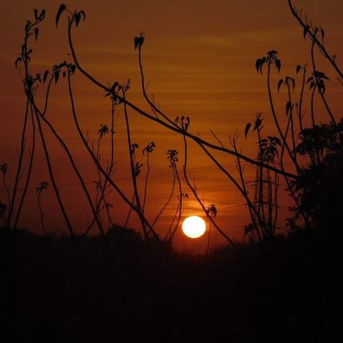 Sunrise