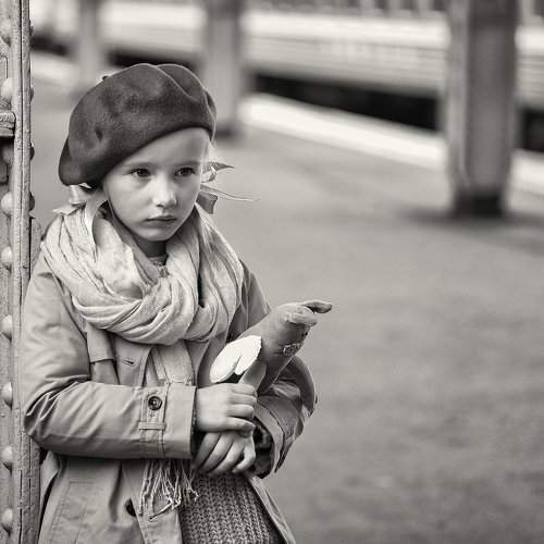 Photo #2213337