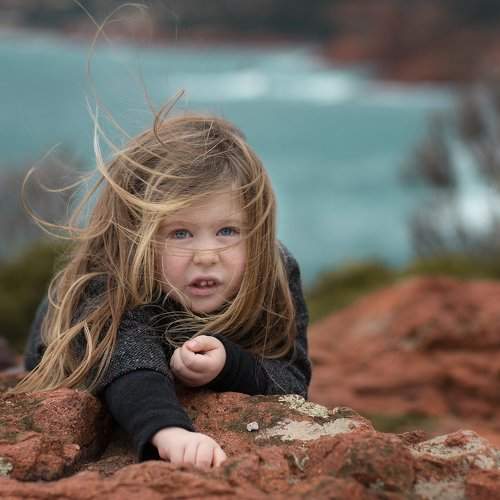Photo #2213349