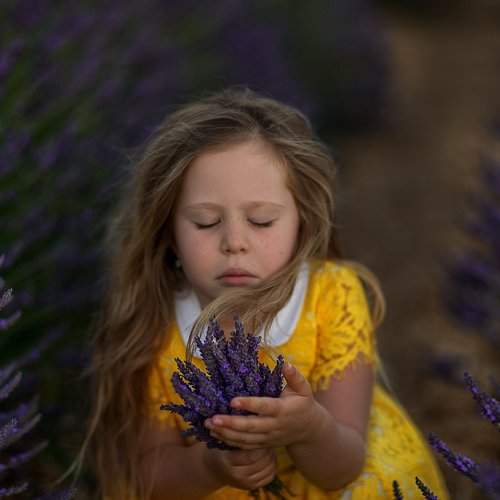 Photo #2213369
