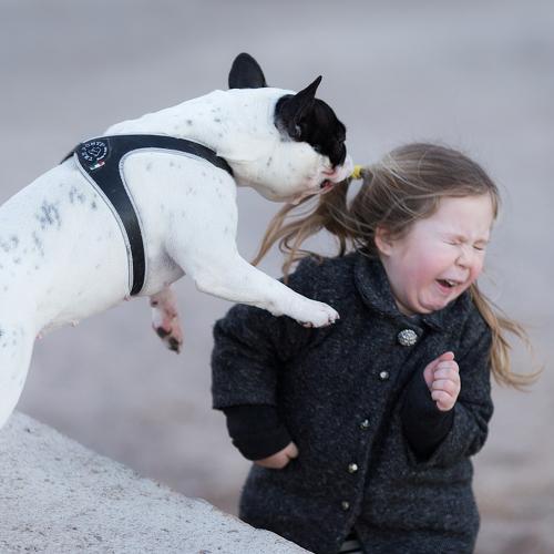 Photo #2213385