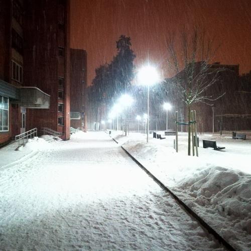 Snow in a night city