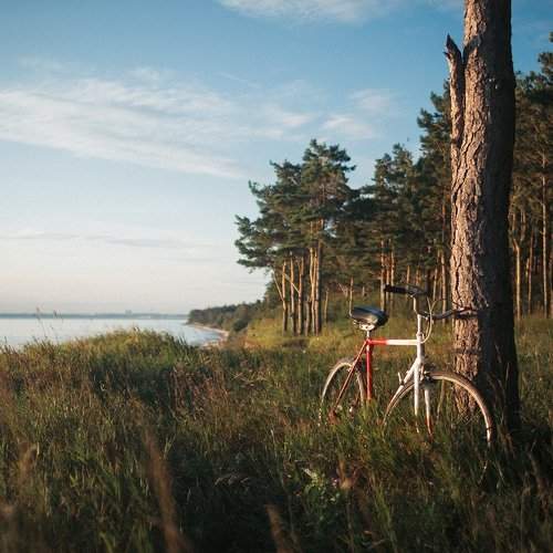 Photo #2214604