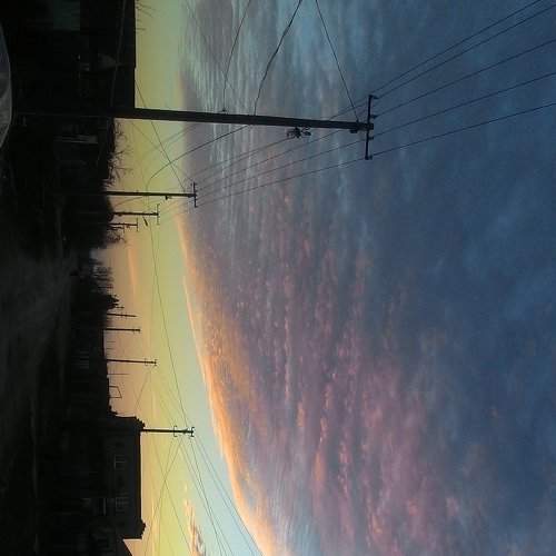 Photo #2214669