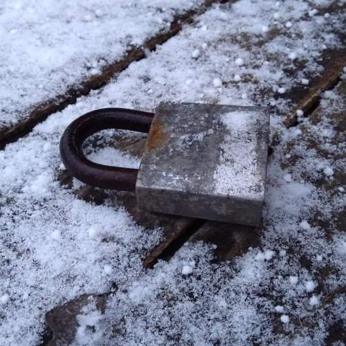 Сквозь года