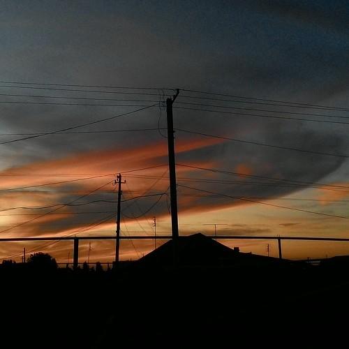 Photo #2214685