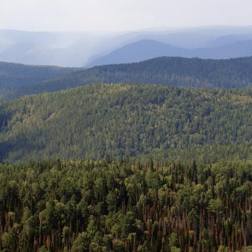 Красноярский край