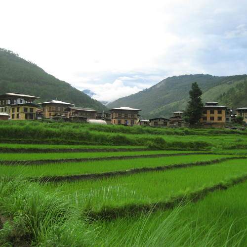 Landscape