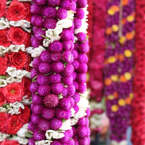 Colourful Life