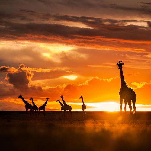 End Of The Day