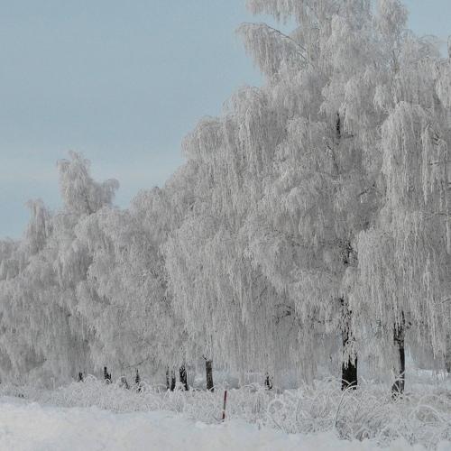 у дороги