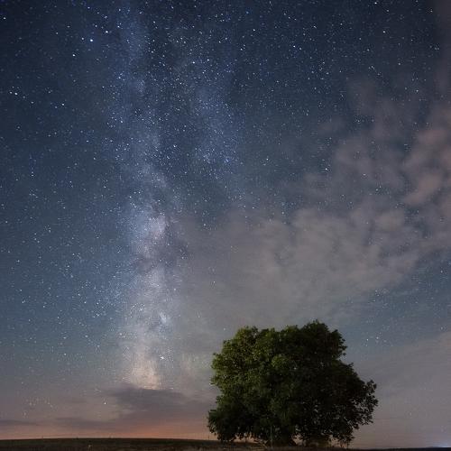 Night in the starry field