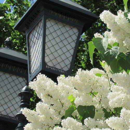 Photo #2219282