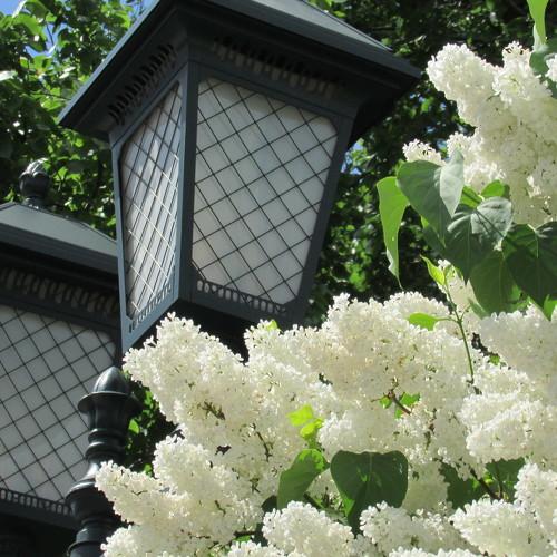 Photo #2219283