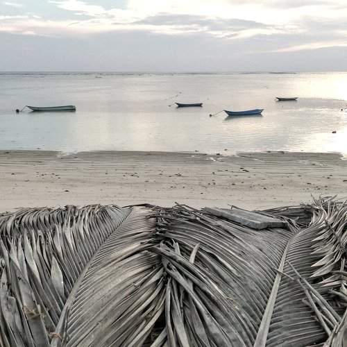 Island life