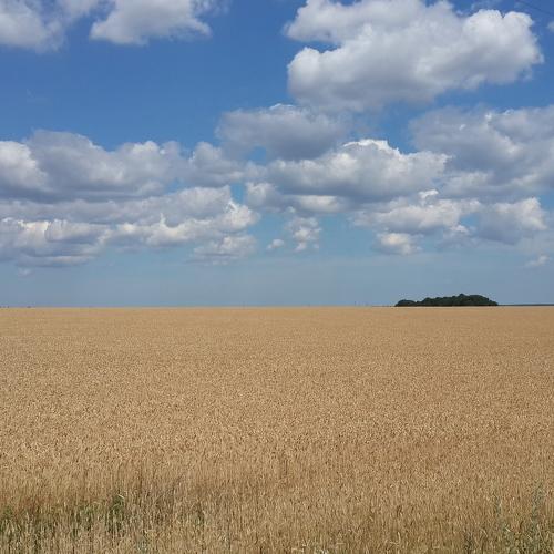 real Ukraine 08.07.18
