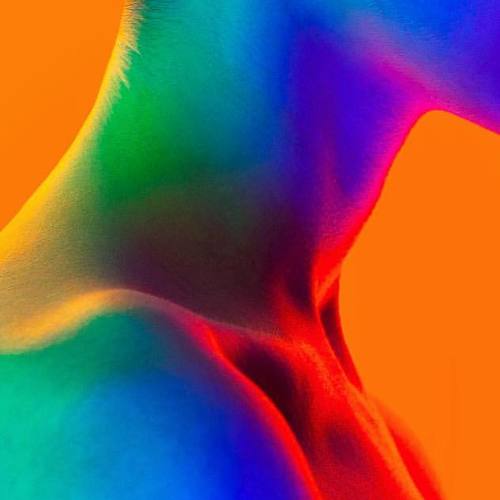 Supersaturation Sadness