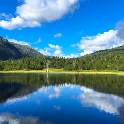 Mountain Lake